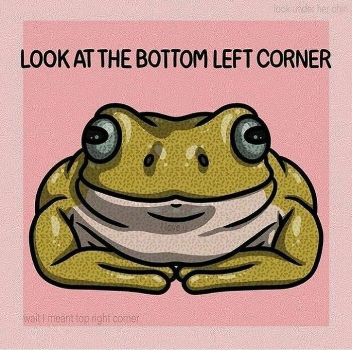Get Ready to Smile: The Funniest, Cutest Memes That'll Totally Make Your Day