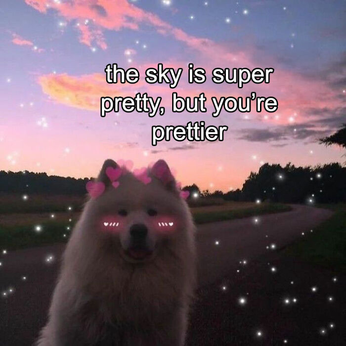 Get Ready to Smile: The Funniest, Cutest Memes That'll Totally Make Your Day