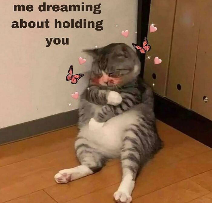 Get Ready to Smile: The Funniest, Cutest Memes That'll Totally Make Your Day