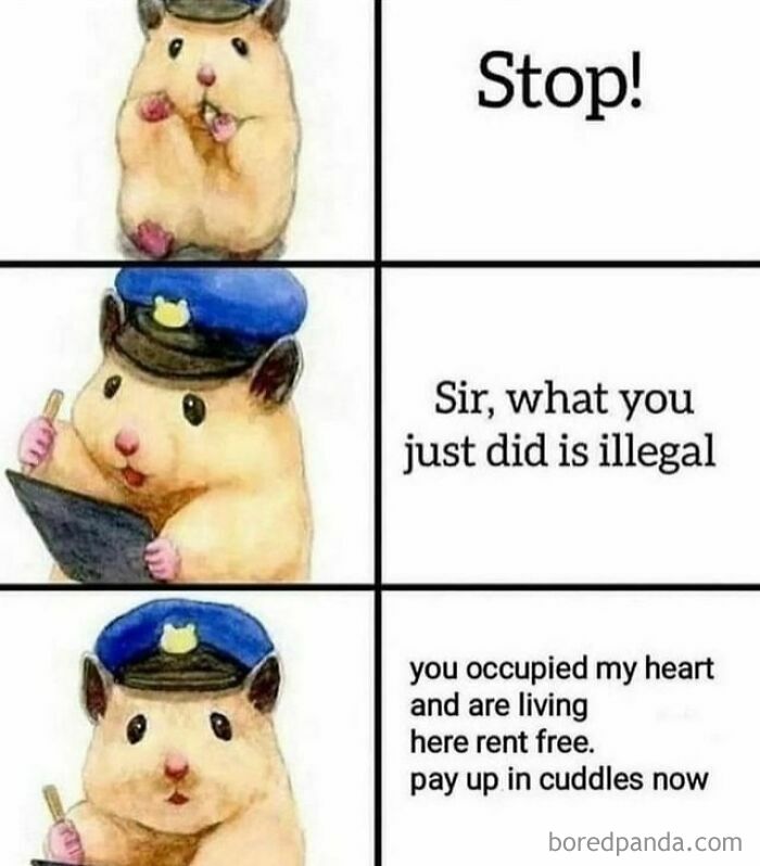 Get Ready to Smile: The Funniest, Cutest Memes That'll Totally Make Your Day