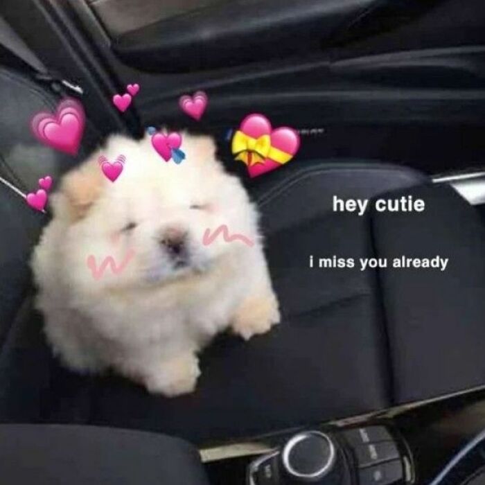 Get Ready to Smile: The Funniest, Cutest Memes That'll Totally Make Your Day