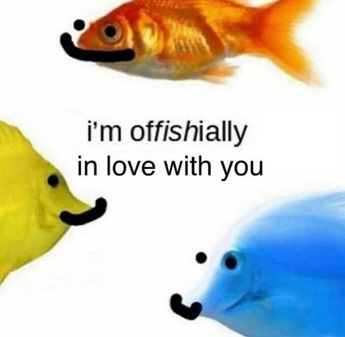 Get Ready to Smile: The Funniest, Cutest Memes That'll Totally Make Your Day