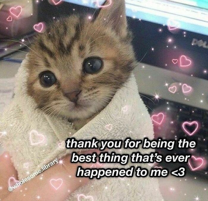 Get Ready to Smile: The Funniest, Cutest Memes That'll Totally Make Your Day