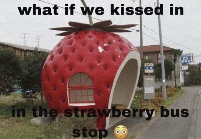 Get Ready to Smile: The Funniest, Cutest Memes That'll Totally Make Your Day