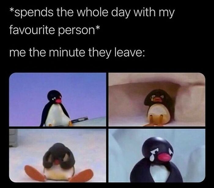 Get Ready to Smile: The Funniest, Cutest Memes That'll Totally Make Your Day