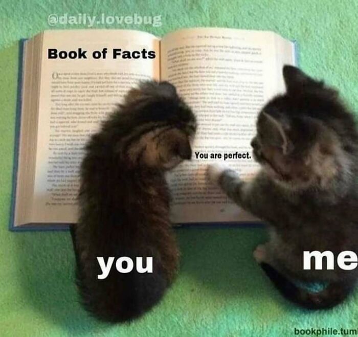 Get Ready to Smile: The Funniest, Cutest Memes That'll Totally Make Your Day