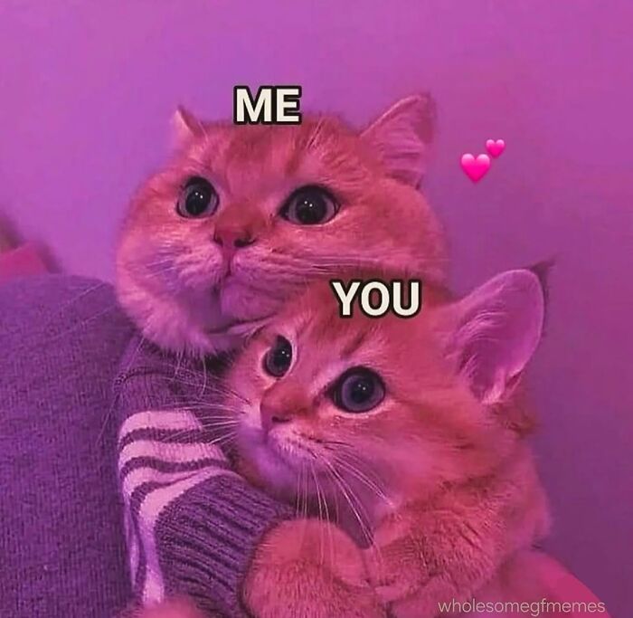 Get Ready to Smile: The Funniest, Cutest Memes That'll Totally Make Your Day