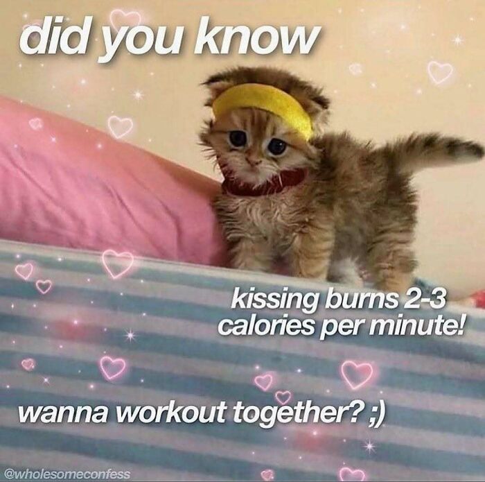 Get Ready to Smile: The Funniest, Cutest Memes That'll Totally Make Your Day