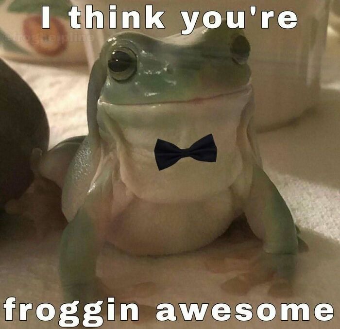 Get Ready to Smile: The Funniest, Cutest Memes That'll Totally Make Your Day
