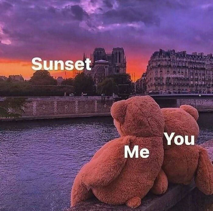 Get Ready to Smile: The Funniest, Cutest Memes That'll Totally Make Your Day