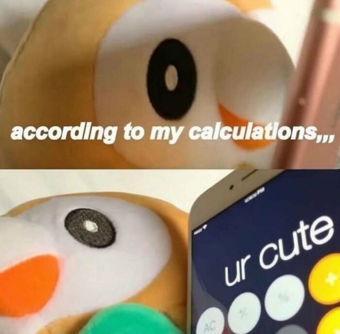 Get Ready to Smile: The Funniest, Cutest Memes That'll Totally Make Your Day