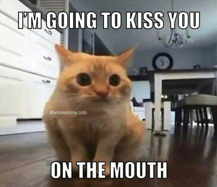 Get Ready to Smile: The Funniest, Cutest Memes That'll Totally Make Your Day
