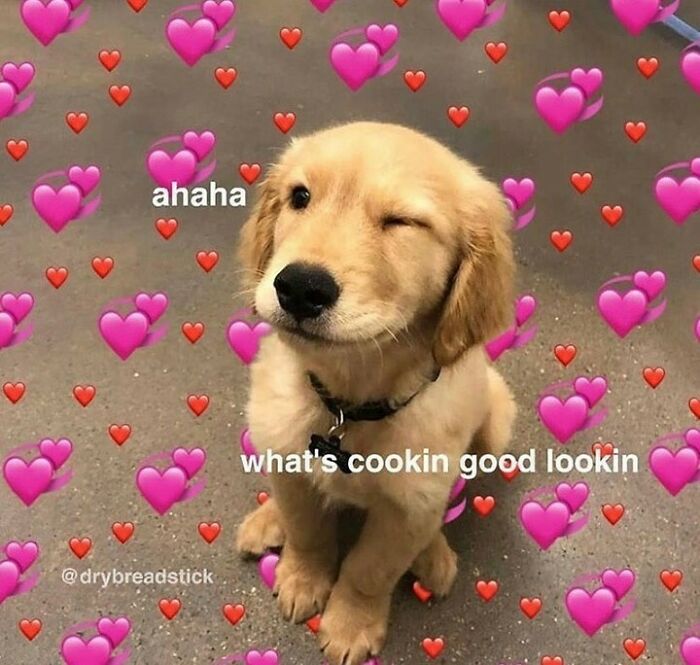 Get Ready to Smile: The Funniest, Cutest Memes That'll Totally Make Your Day