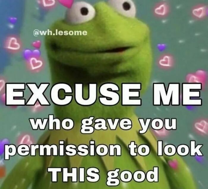 Get Ready to Smile: The Funniest, Cutest Memes That'll Totally Make Your Day