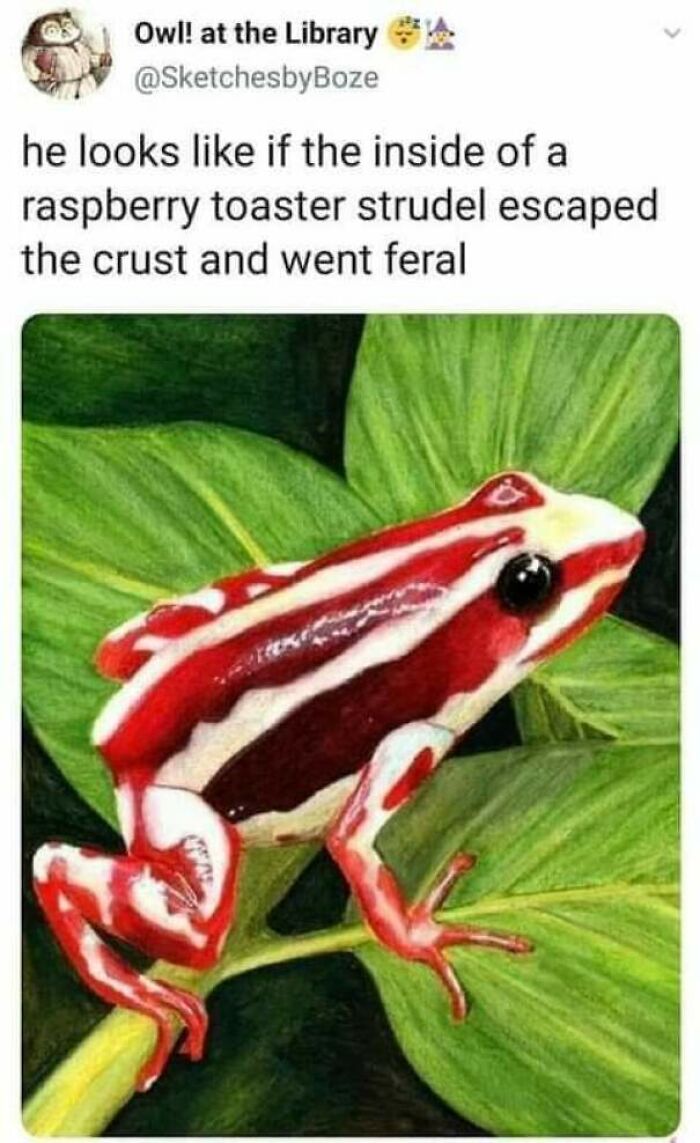Strawberries? Close, But Nope!