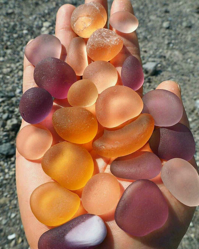 Gummi Bears? Nope, Just Rocks That Look Like Candy