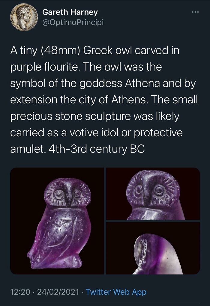 Gummy Owl or Nature’s Prank?
