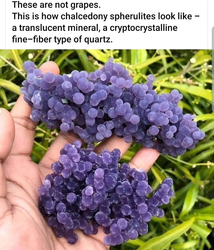 Want to Break Your Teeth? This Is How!
