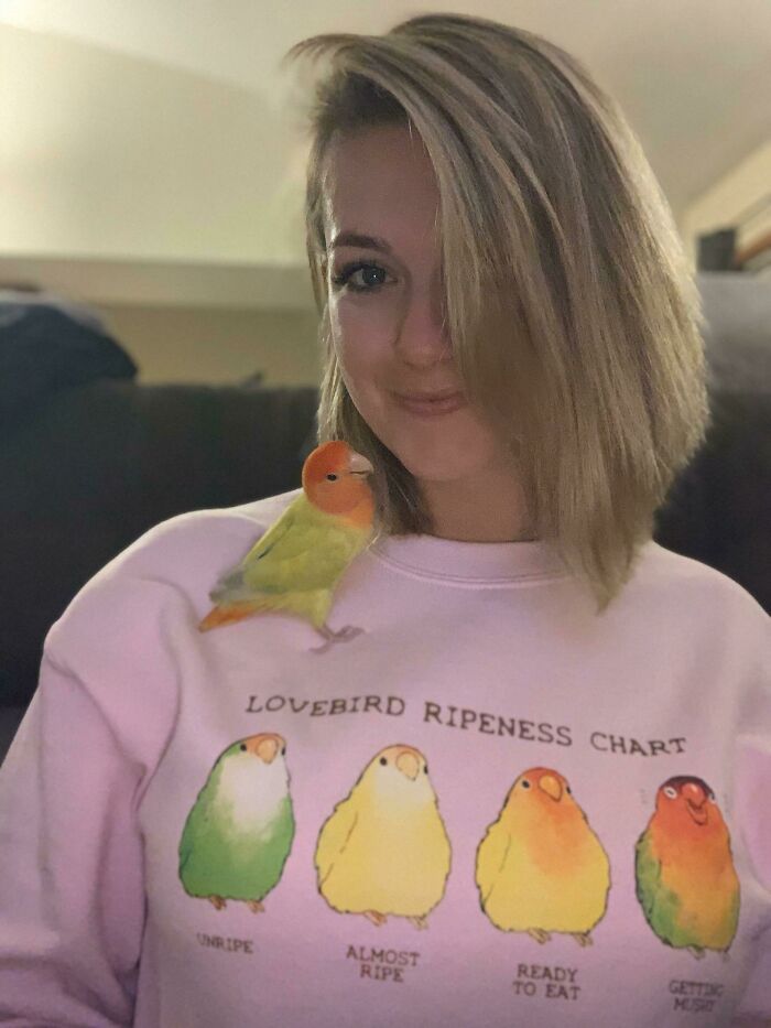 Mango? More Like Mango Lookalike!