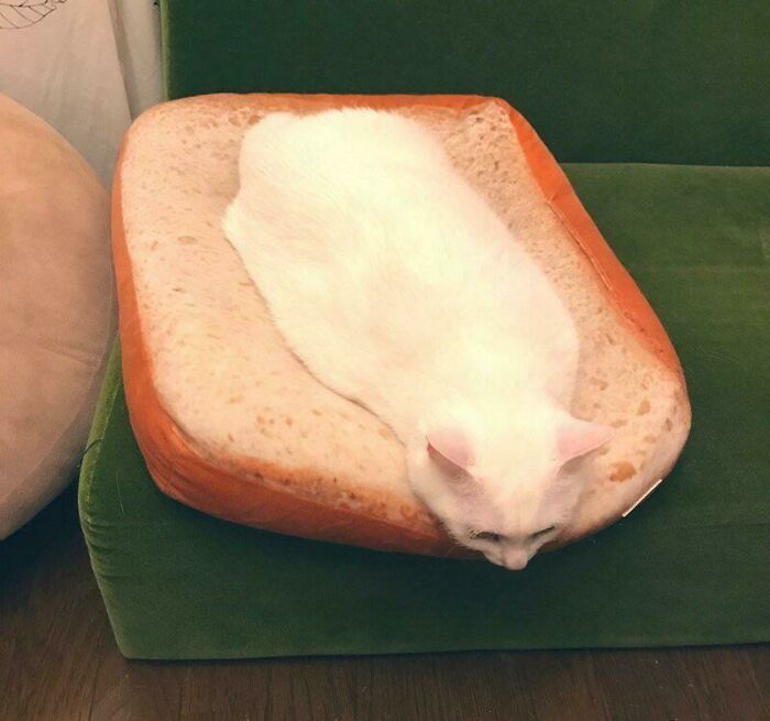 Is That Mayo or Maybe Not?