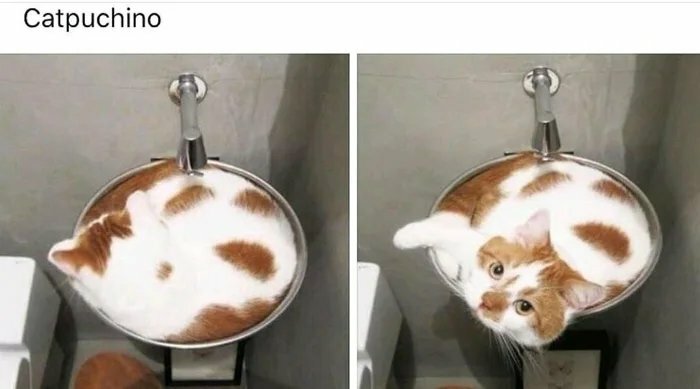 Cappuccino? Nope, Just a Coffee-Lookalike