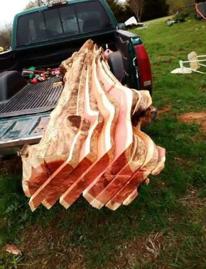 Bacon? More Like Bacon in Disguise!