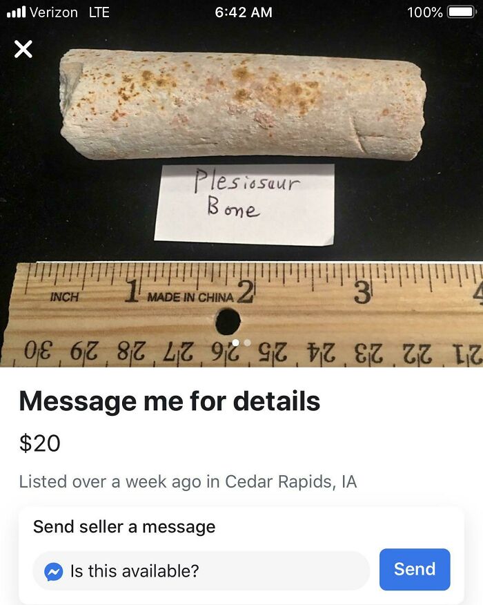 Forbidden Burrito? Looks Real But Isn’t!