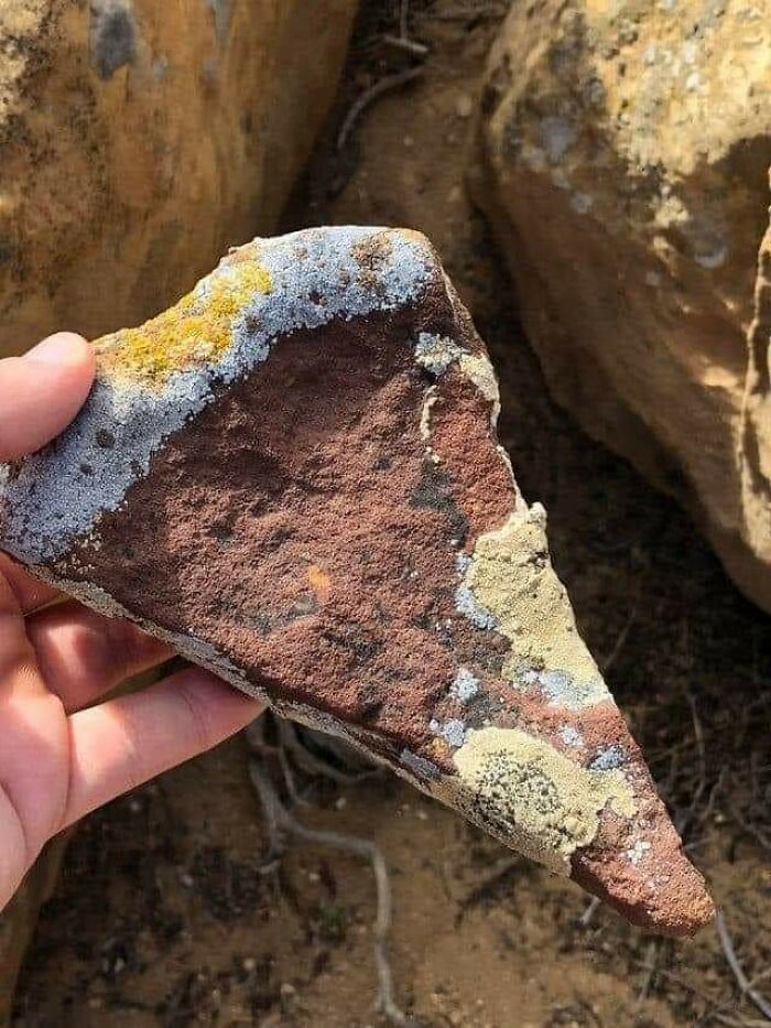 Forbidden Pizza That’s Just a Look