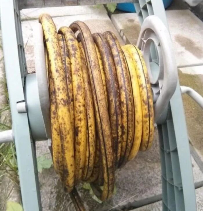 Two Miles of Banana? Try Nope Instead.