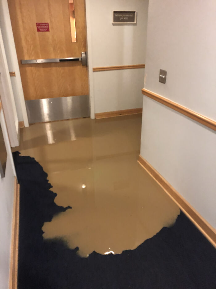 Okay, Who Flooded the Dorm With Chocolate Milk?