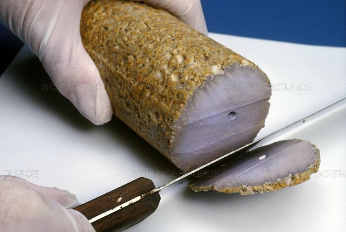 Sodium Salami? Don’t Bite This One!