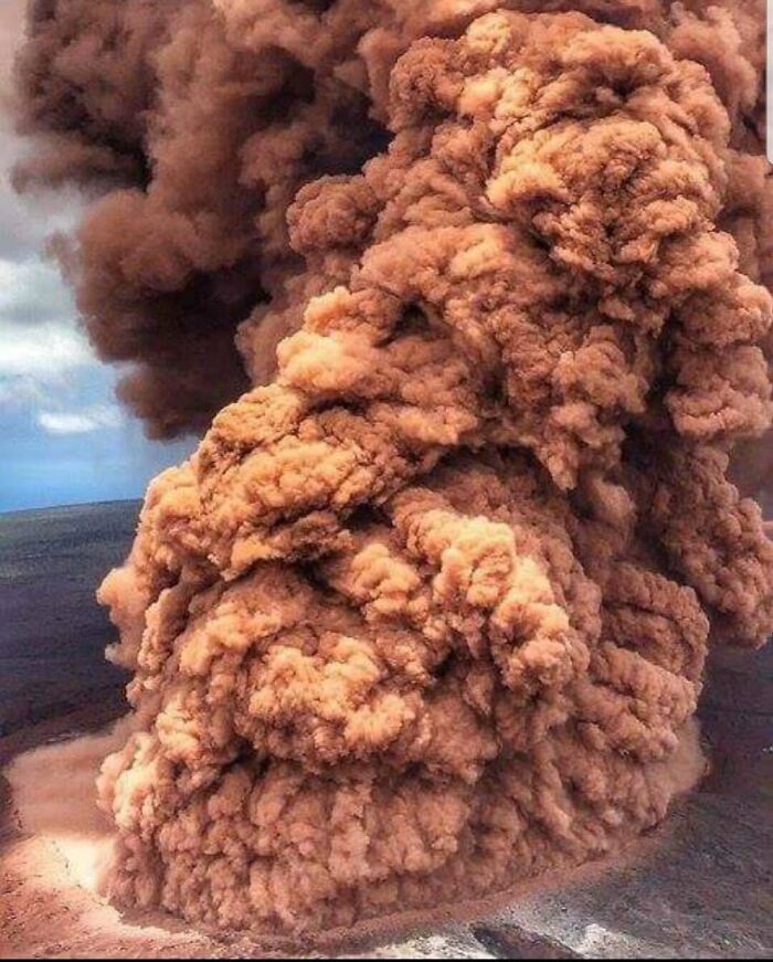 Chicken Tender Lookalike—Nugget Not Included