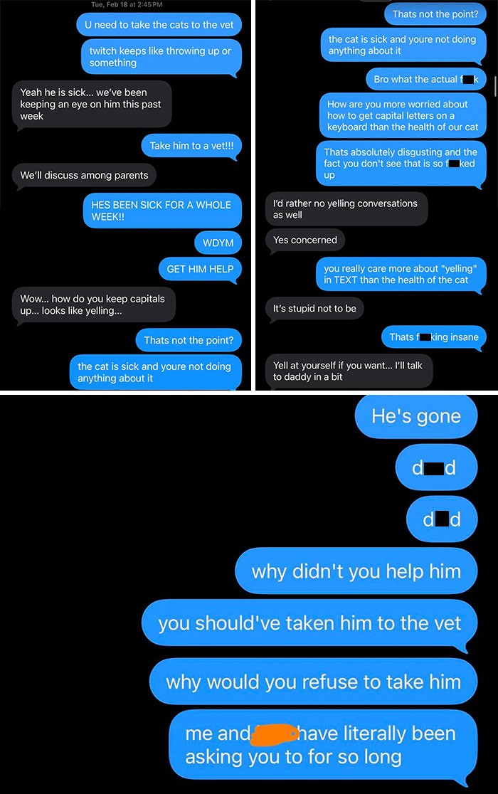 Mom Won't Take My Cat to the Vet. Seriously?