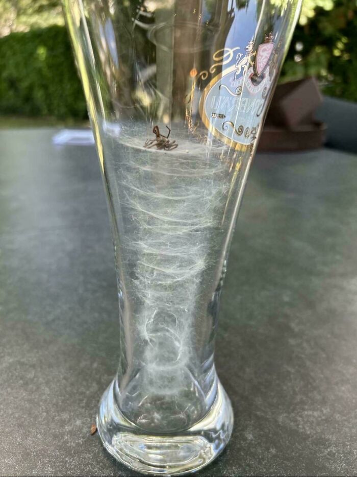 Looks Stunning... But Honestly, Poor Fella