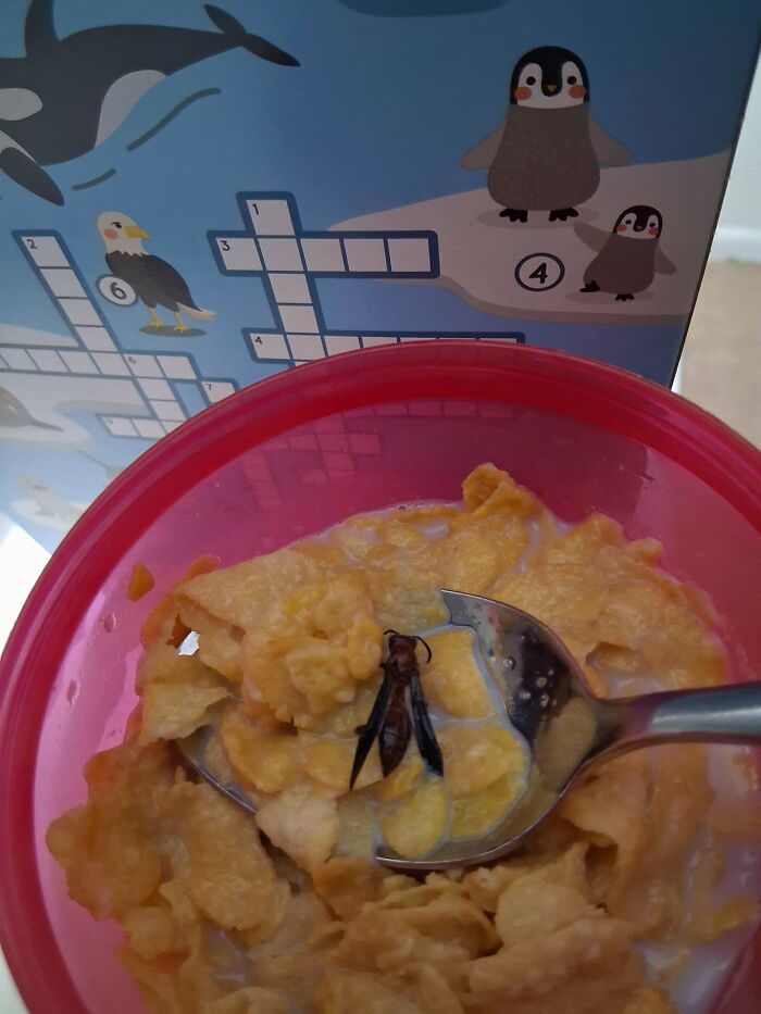 Cereal Prizes Have Gotten Weird. Scan Before You Chow Down!