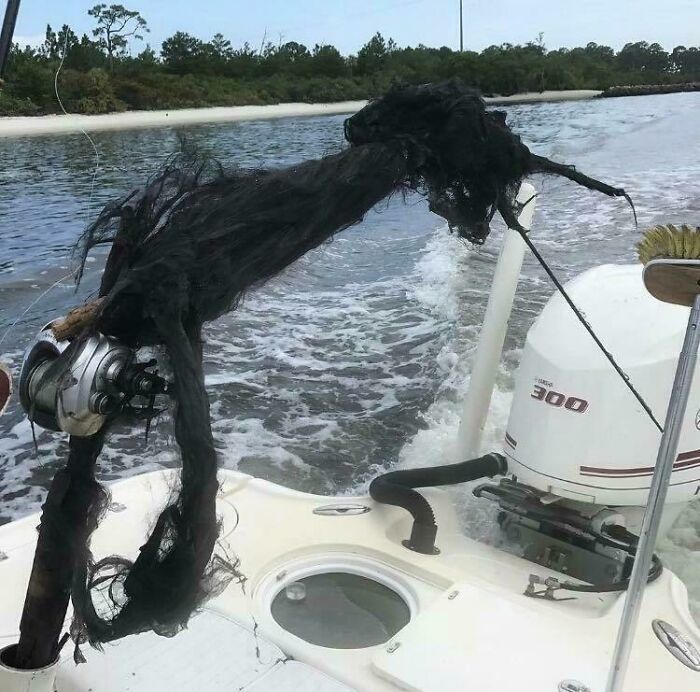 Lightning Struck This Fishing Rod—Talk About Bad Luck