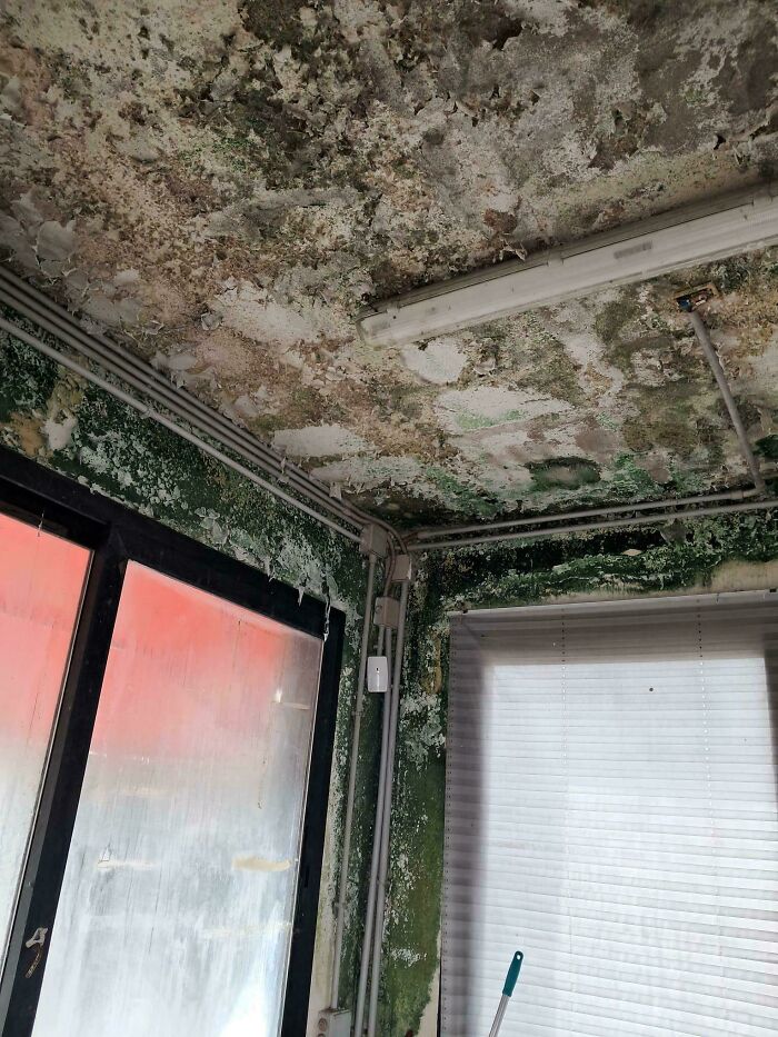 Just Saw A “The Last Of Us” Meme And This Creepy Wall Pic Totally Fits