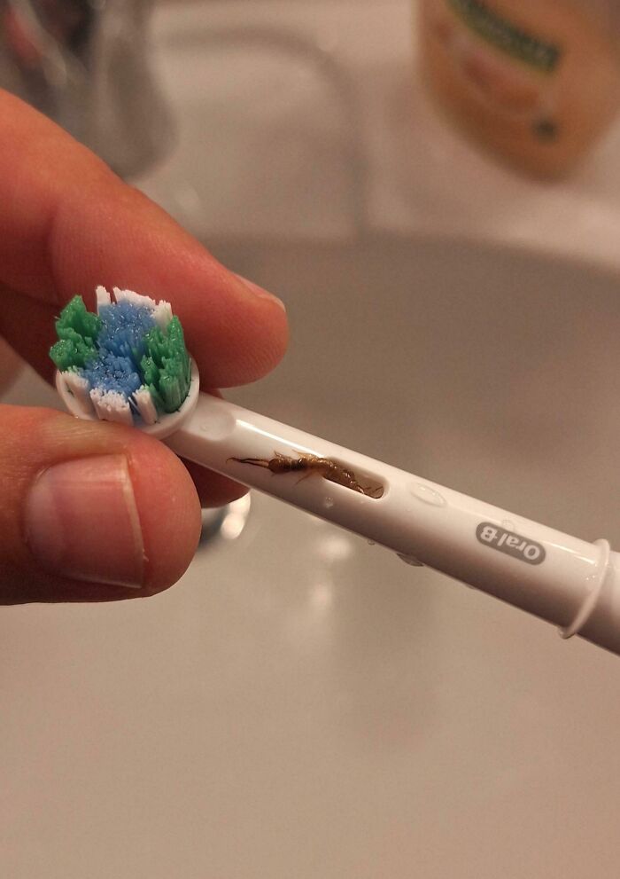 My Wife Found This Creepy Thing After Brushing Her Teeth