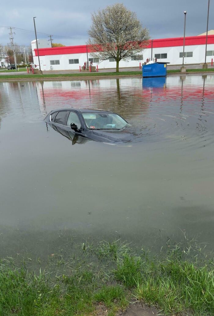This Wild Thing Happened At My Work Place