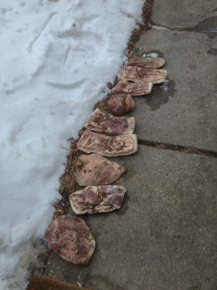 This House I Deliver To Leaves Meat Out On The Walkway—No Tarp, No Nothin’