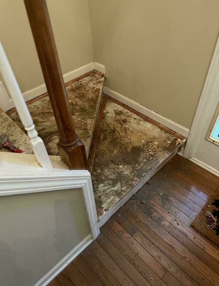 Under The New Carpet At Our House Was… A Dirt Time Capsule