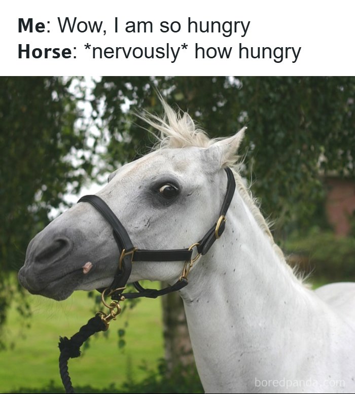 Let's Dive Into These 77 Hilarious Memes That Totally Get Life!