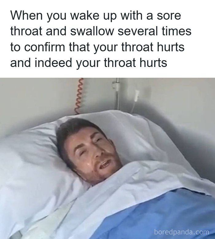 Let's Dive Into These 77 Hilarious Memes That Totally Get Life!
