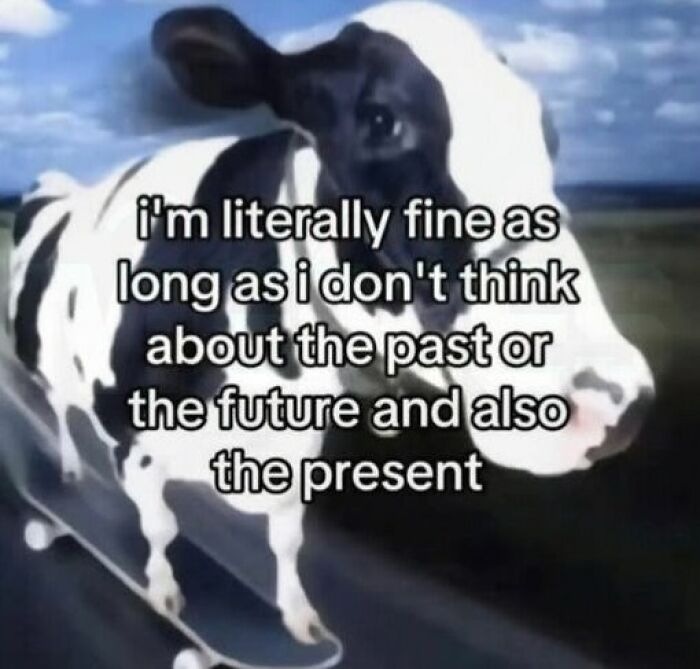 Let's Dive Into These 77 Hilarious Memes That Totally Get Life!
