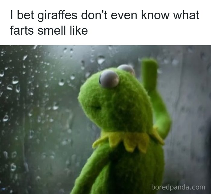 Let's Dive Into These 77 Hilarious Memes That Totally Get Life!