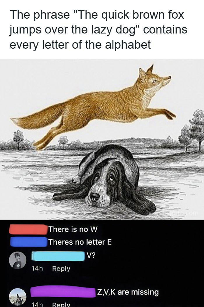 Let's Dive Into These 77 Hilarious Memes That Totally Get Life!