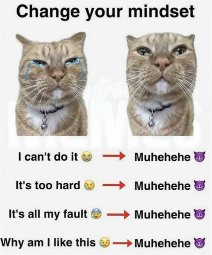 Let's Dive Into These 77 Hilarious Memes That Totally Get Life!
