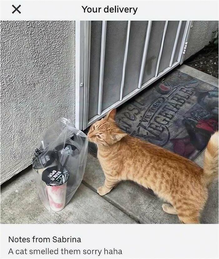 Let's Dive Into These 77 Hilarious Memes That Totally Get Life!