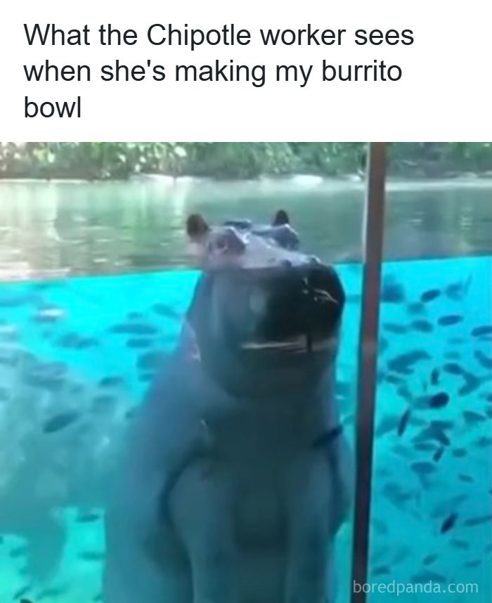 Let's Dive Into These 77 Hilarious Memes That Totally Get Life!