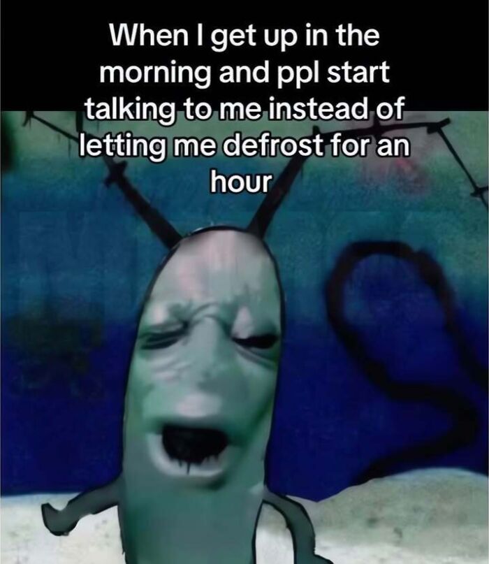 Let's Dive Into These 77 Hilarious Memes That Totally Get Life!